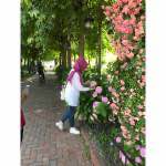 Hatice Orak