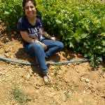 Hatice Koca