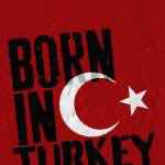 Mehmet Yavuz Cesur