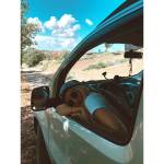 Elif Küçükyorulmaz