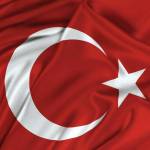 Gokce66