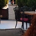 İrem Şengür
