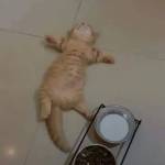 Ramazan ATIL