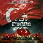 tariksoylemez338