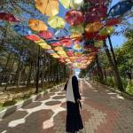 Haticeseenna