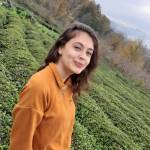 nafile gül