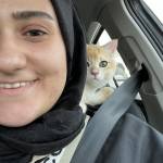 Melike Meryem Yılmaz