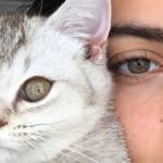 Behiye Ceren Tayboğa
