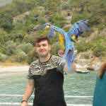 Alperen Bozkurt