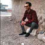 Bagis1200