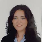 beyza özdil