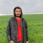 Bayram Yıldırım Profile Picture